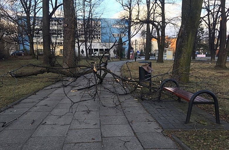 Silny wiatr. Synoptycy alarmują!
